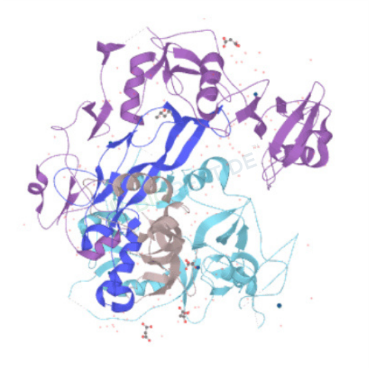 Follistatin-344 1mg image 1